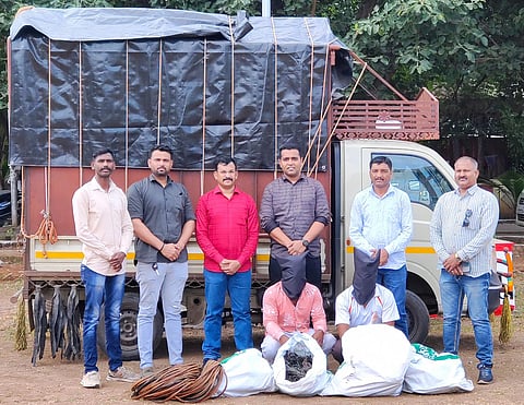पुणे: जुन्नरमध्ये कृषीपंपांच्या केबल चोरणारे दोघे गजाआड, स्थानिक गुन्हे शाखेची कारवाई