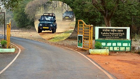 Tadoba National Park