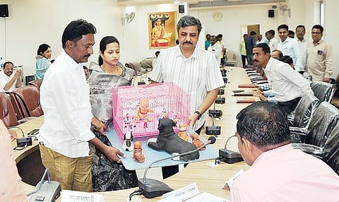 नगर : मुले पिंजर्यात, कुत्री मोकाट; कारवाई न केल्यास महासभेत खाली बसणार