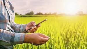 नगर : 67 हजार शेतकर्यांची ई-पीक नोंदणी