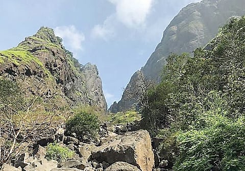 हरिश्चंद्रगडावर ट्रेकिंग होणार सुरक्षित; सहायक पोलिस निरीक्षक सचिन कांडगे यांची माहिती