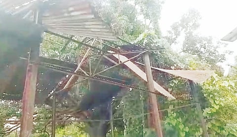 नांदोशीत लाखो रुपयांचा भ्रष्टाचार! बोगस बिले काढल्याचा आरोप