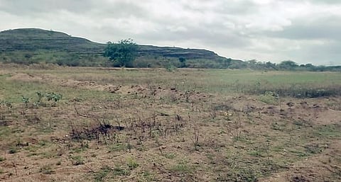 115 कोटींचे बियाणे मातीत ! तीन महिन्यांनंतरही अनेक भागात पावसाचा थेंबही नाही