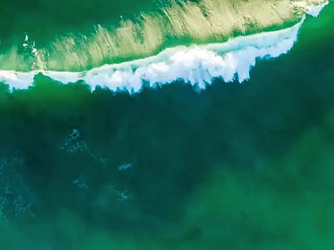 वीस वर्षांमध्ये ५६ टक्के समुद्र झाला हिरवट!