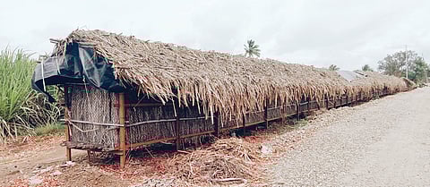 कांदा उत्पादकांचे अश्रू सरकारला दिसणार कधी?