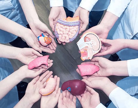 Organ donation : अवयवदात्यांवर शासकीय इतमामात होणार अंत्यसंस्कार