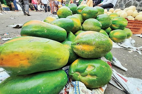 पपई महागली; खरबूज स्वस्त