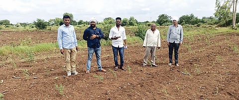 शेवगाव : दोन दिवसांत नुकसानीचे अहवाल