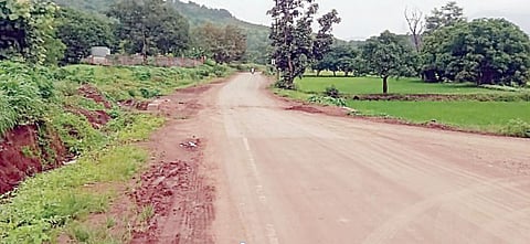 पुणे : रुंदीकरणासाठी डेरेदार वृक्षांची कत्तल !