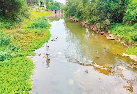River News : देशातील 311 नद्यांची खोरी नामशेष होण्याच्या मार्गावर