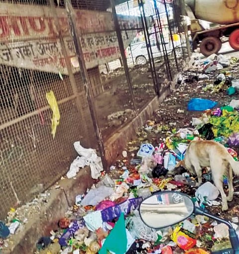 ‘कचऱ्या’चा रात्रीस खेळ चाले ! बेशिस्तांवर कारवाई करण्याची मागणी