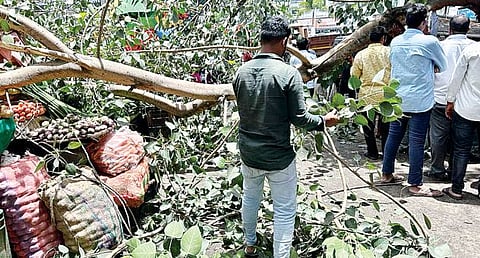 पुणे : पिंपळाच्या झाडाची फांदी कोसळली थेट ग्राहकांच्या डोक्यावर