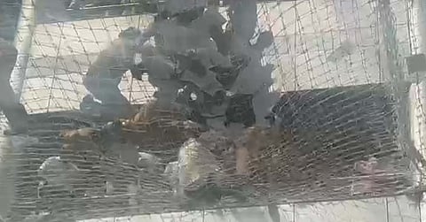 मुंबई: वर्धा येथील धरणग्रस्तांनी मंत्रालयात तिसऱ्या मजल्यावरून उड्या मारल्या