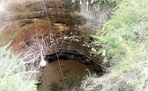 माळेगाव : बागायत पट्ट्यात दुष्काळी स्थिती