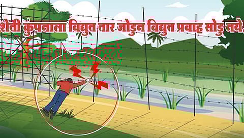 Chandrapur News : शेतीच्या कुंपणाला विद्युत तारा जोडल्यास गुन्हा दाखल करणार: पोलीस अधीक्षक