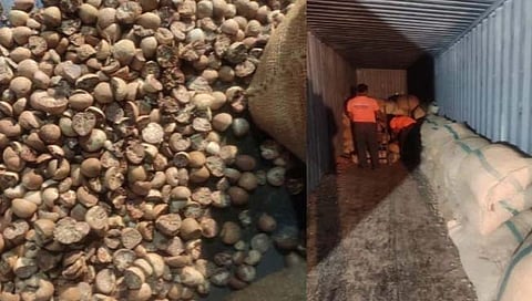 रायगड: जेएनपीटी येथे तस्करीचा डाव उधळला; ३२ कोटींच्या सुपारी जप्त