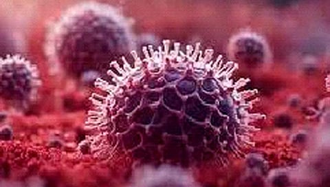 Nipah in Kerala : केरळमध्ये ‘निपाह’ची रुग्ण संख्या सहावर