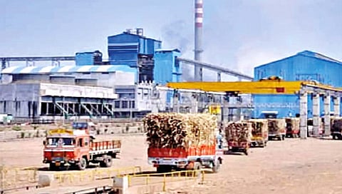 जागतिक साखर टंचाई निवारणात हातभार लागणार; देशात यंदा उद्योगाची स्थिती समाधानकारक