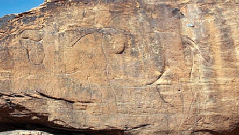 सौदी अरेबियातील वाळवंटात उंटांच्या उत्थितशिल्पांचा शोध