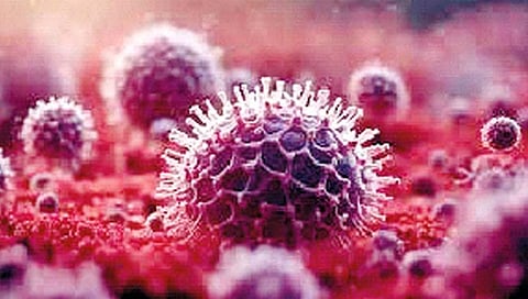 Nipah virus : कोझिकोडमध्ये 24 पर्यंत शाळा बंद