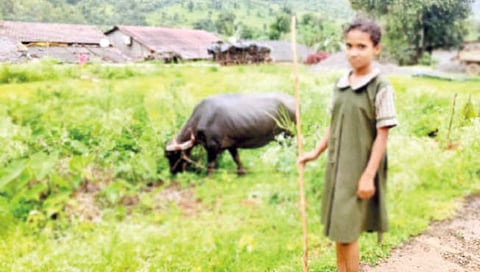 डोंगर दर्यातील विद्यार्थ्यांचे शैक्षणिक भवितव्य अंधारात