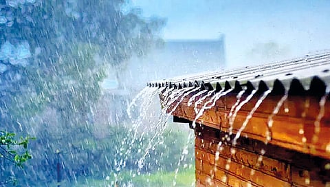 संग्रहित फोटो