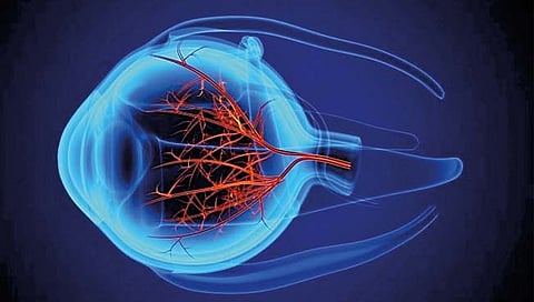 नेत्रविकाराकडे करु नका दुर्लक्ष, जाणून घ्या महत्त्वाची लक्षणे