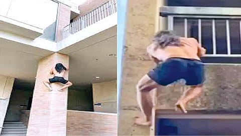 शहरात राहणारा जंगली टारझन!