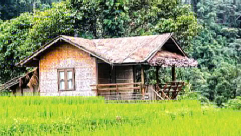 बर्धनारा गावात उरलेय एकच कुटुंब!