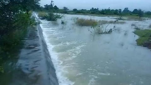 छत्रपती संभाजीनगर : सिल्लोड तालुक्यात परतीच्या पावसामुळे शेतकरी सुखावला