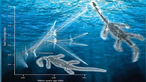 प्राचीन सागरी जलचरांमध्ये वेगाने विकसित झाली लांब मान