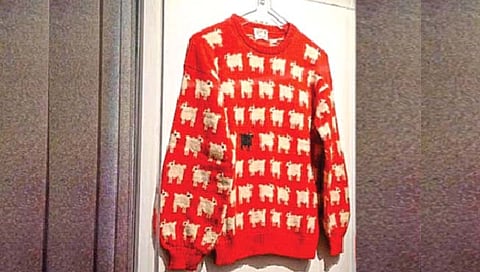 9 कोटी रुपयांचा स्वेटर!