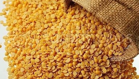 तूर, उडीद डाळींचे भाव घसरणार?