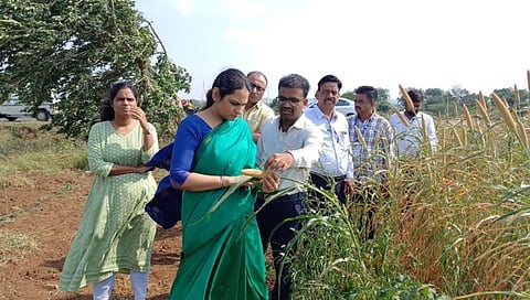 नंदुरबार : जिल्हाधिकारी मनीषा खत्री यांनी थेट बांधावर जाऊन जाणून घेतल्या शेतकऱ्यांच्या भावना