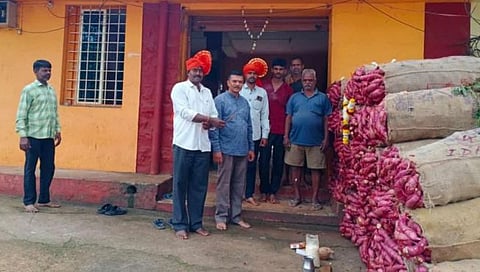 बेळगाव: रताळी हंगाम सुरू, मलकापूर जातीच्या रताळ्यांना सर्वाधिक दर