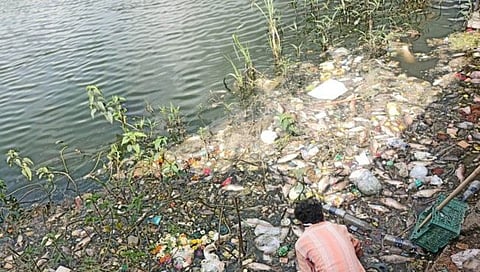 त्र्यंबकेश्वरला फराळाच्या खिचडीने गौतम तलावातील हजारो माशांचा मृत्यू