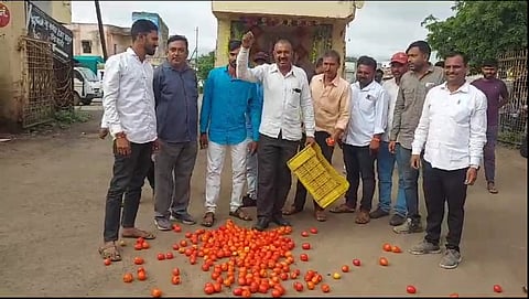 Nashik Tomato Price : मनमाडला टोमॅटोला मिळाला चिंचोक्याचा भाव, शेतकरी हतबल