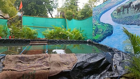 कोल्हापूर : युवक मित्र मंडळाकडून पर्यावरण संवर्धनाचे उपक्रम