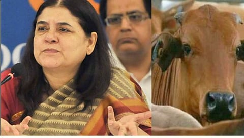 Maneka Gandhi On 'ISKCON'