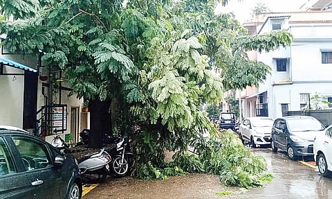 नवी सांगवी : मुसळधार पावसामुळे जनजीवन विस्कळीत