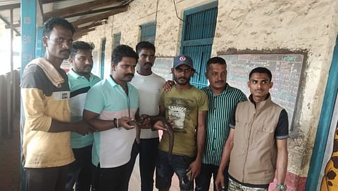 कोल्हापूर : दानोळीत आढळला म्हामुळ जातीचा साप