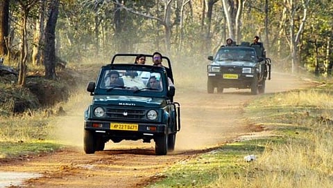 Tadoba Tiger Reserve : ताडोबाची ऑनलाईन बुकींग एनआयसी शासकिय पोर्टलद्वारे : जिल्हा सत्र न्यायालयाचा निर्णय