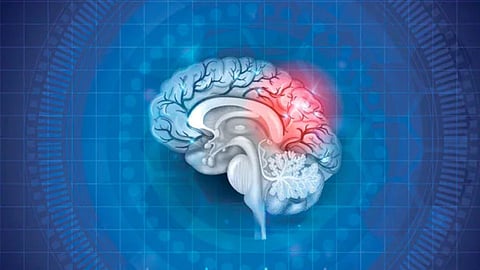 Alzheimer Day 2023 : तुमचा विसराळूपणा अल्झायमर तर नाही ना?