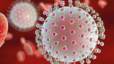 इचलकरंजीत ‘झिका’, तर केरळमध्ये ‘निपाह’ माजवतोय दहशत!