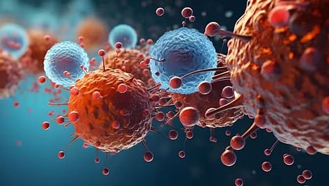 Nipah Virus in Kerala : निपाह विषाणूमुळे मृत्यूचे प्रमाण कोरोनापेक्षा जास्त : ICMR