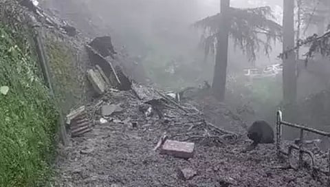 Congo Landslide : काँगोमध्ये मुसळधार पावसामुळे भूस्खलन; १७ जणांचा मृत्यू