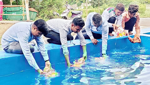 Ganeshotsav 2023 : दीड दिवसाच्या बाप्पाला निरोप; 310 मूर्तींचे विसर्जन