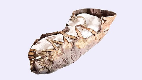 ऑस्ट्रियात सापडले 2200 वर्षांपूर्वीच्या मुलाचे बूट