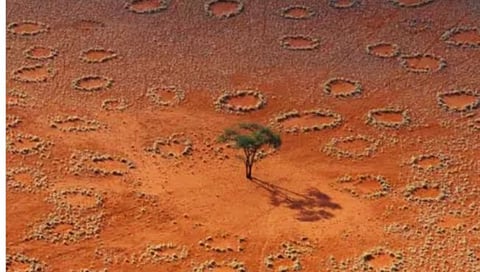 Fairy circles in deserts