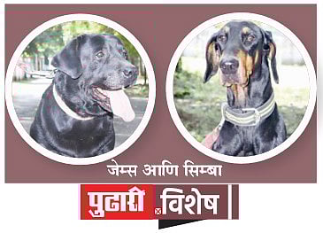 पिंपरी-चिंचवडकरांच्या सुरक्षिततेसाठी जेम्स आणि सिम्बा